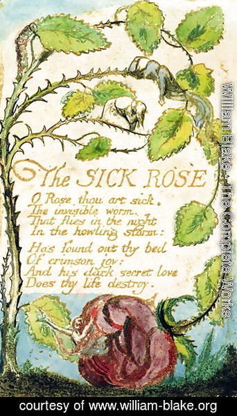 William Blake - The Sick Rose, from Songs of Innocence