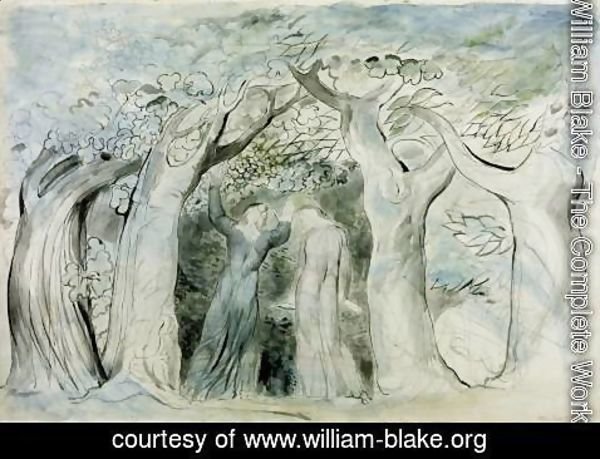 William Blake - Inferno, Canto II, 139-141, Dante and Virgil enter the wood